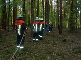 Maibaum_2016 (35).JPG